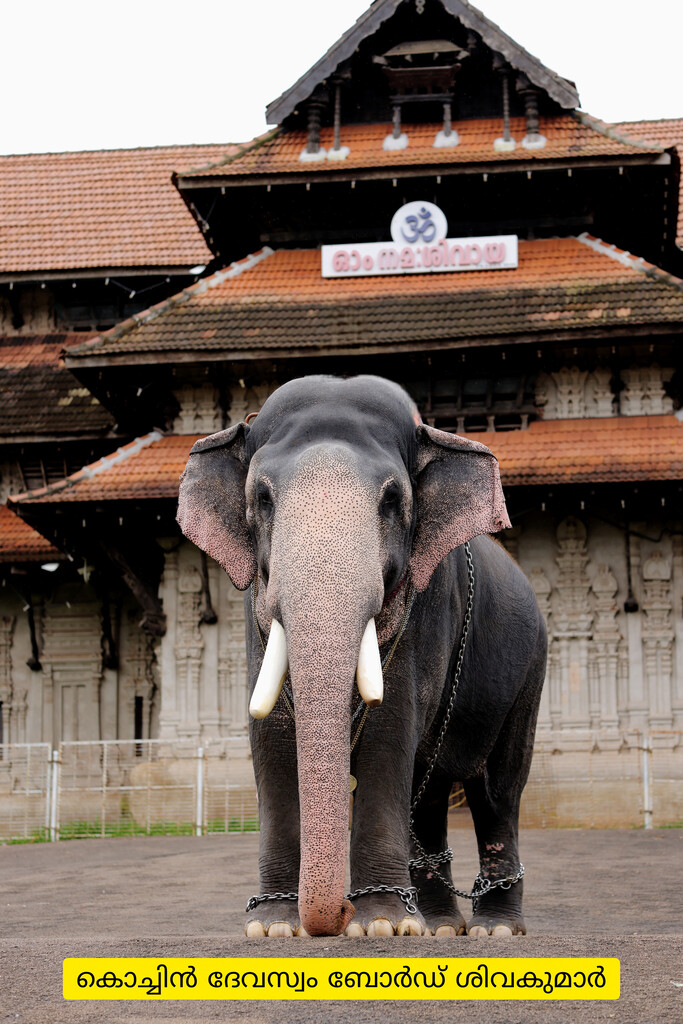 Ernakulam Shivakumar