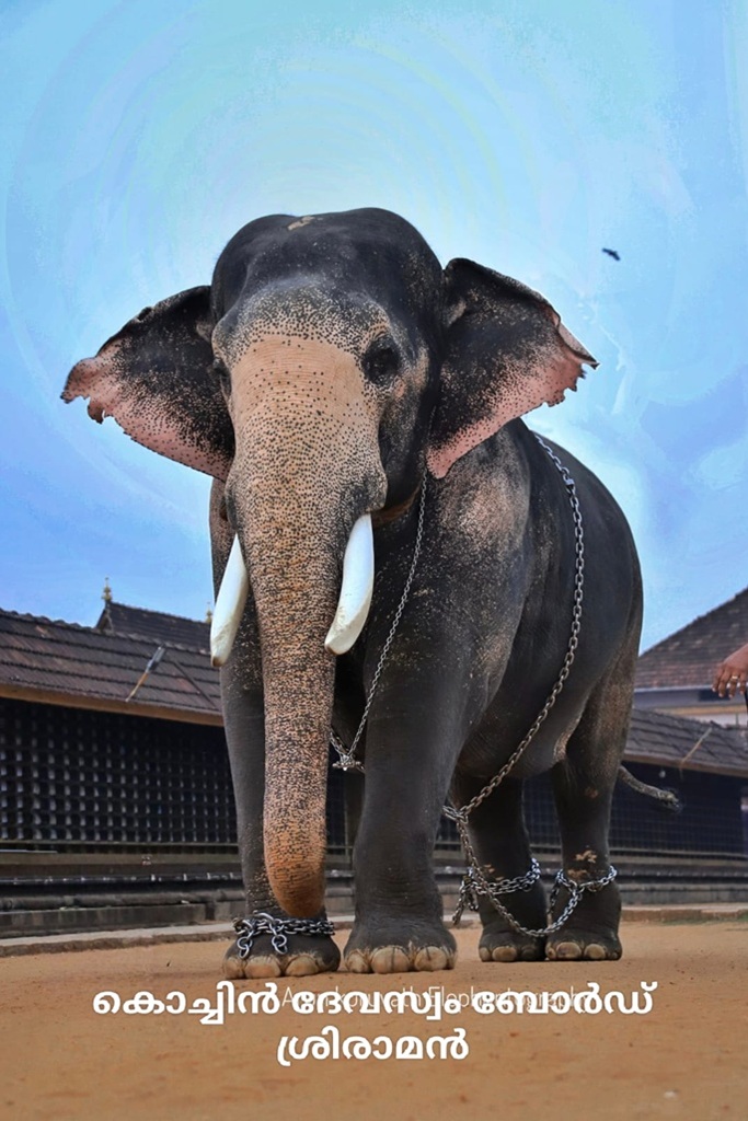 Pazhayannoor Sreeraman